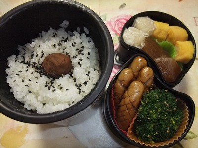 木曜日♪パパのお弁当