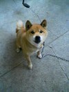 真剣な眼差し
