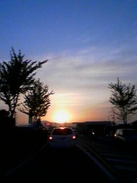 自動車税