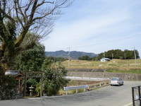 橋尾神社・馬蹄形棚田と一本桜