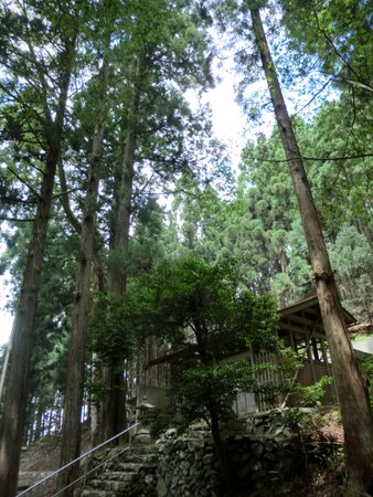 志子渕神社