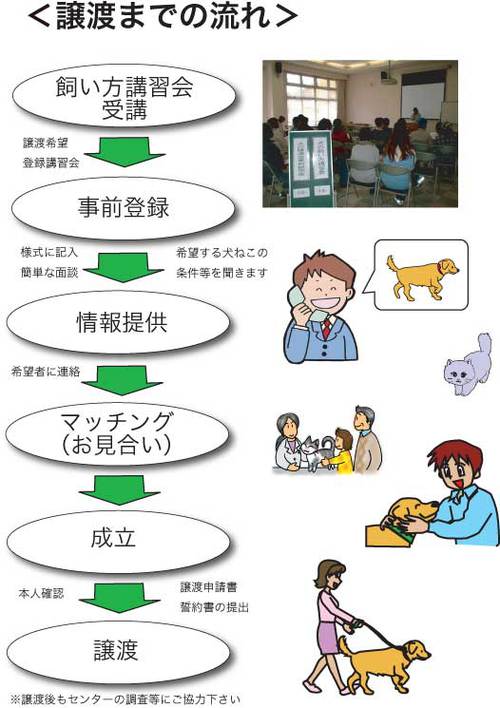 滋賀県動物保護管理センターで家族を募集している犬猫達がいます
