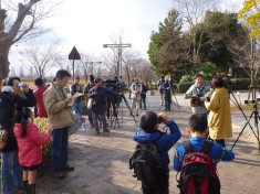 からすま半島の水鳥を観察してみよう ~ 2012年