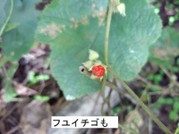 11月・12月の活動予定 11月・12月の活動予定