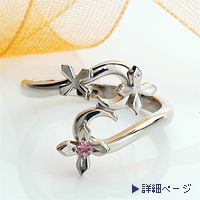 本日は定休日です