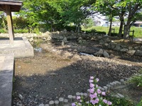 和邇公園　池の掃除