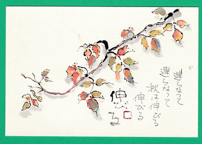 秋空 秋空
