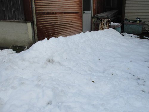 雪 雪