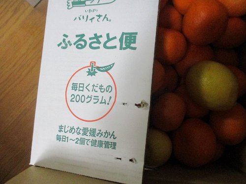 みかん みかん