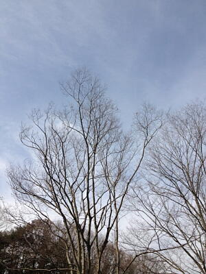 ハービー・山口写真展