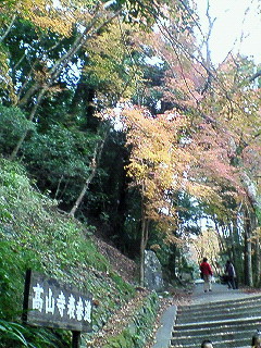 読売バス「信楽松茸・近江牛食べ放題&高雄紅葉ツアー」