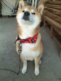 なんで、こんな日に