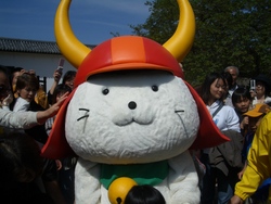 念願のひこにゃん♪