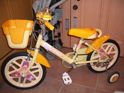念願の自転車
