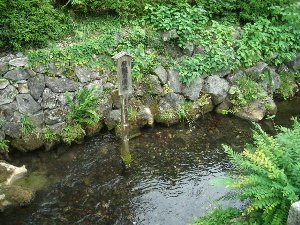 豆腐づくり体験