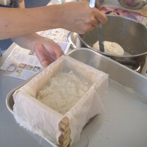 豆腐づくり体験