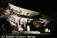 三井寺・琵琶湖疏水の桜