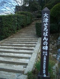 三井寺・琵琶湖疏水の桜