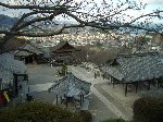 三井寺・琵琶湖疏水の桜