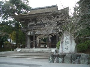 三井寺・琵琶湖疏水の桜