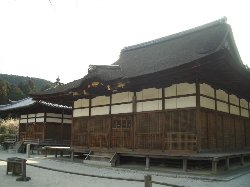 三井寺・琵琶湖疏水の桜