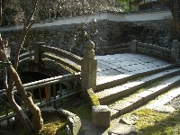 三井寺・琵琶湖疏水の桜