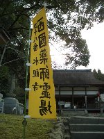 三井寺・琵琶湖疏水の桜