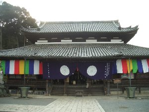 三井寺・琵琶湖疏水の桜