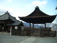 三井寺・琵琶湖疏水の桜