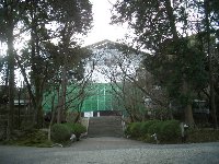 三井寺・琵琶湖疏水の桜