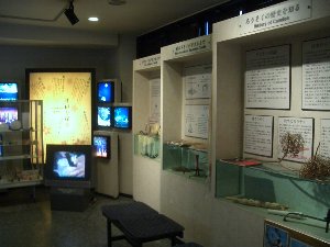夢京橋あかり館