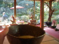 坂本盆梅展