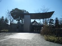 坂本盆梅展