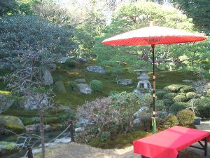 坂本盆梅展