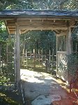坂本盆梅展