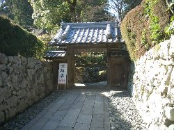 坂本盆梅展