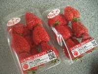 いちご園 フェリーチェ