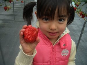 いちご園 フェリーチェ