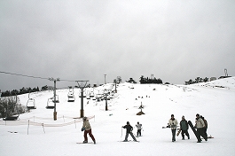 箱館山スキー場