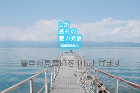 暑中お見舞い申し上げます☆