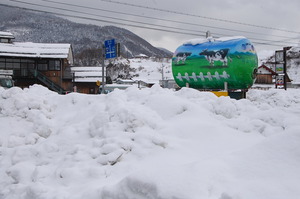 【しが】農村の魅力発信|伊吹大根