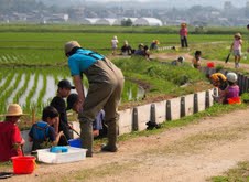 8月26日 「親子で楽しむ雑魚捕り体験教室」 開催です!!