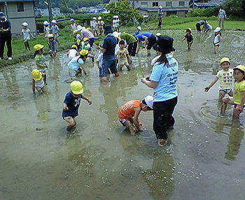 代役レポート→可愛い田植え編