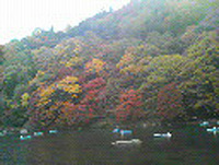 紅葉パート2