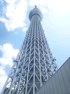 お空の木とヒョウ柄