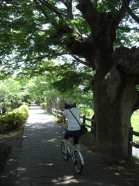 サイクリング