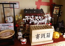 百年豆腐を味わう