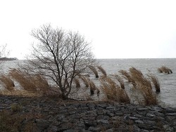 走り初め