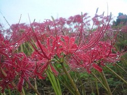 初秋湖北路
