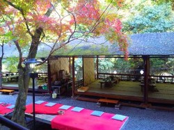 京都高雄で紅葉狩り♪
